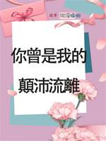 你曾是我的顛沛流離
